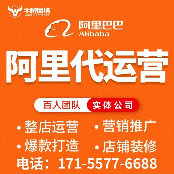 舟山电商代运营