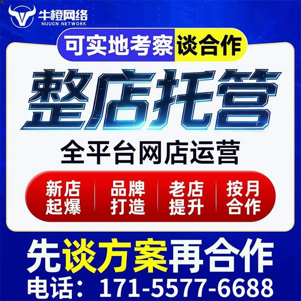 舟山电商代运营