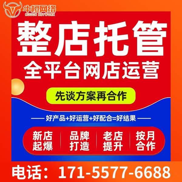 舟山电商代运营