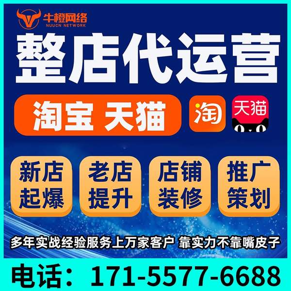 舟山电商代运营