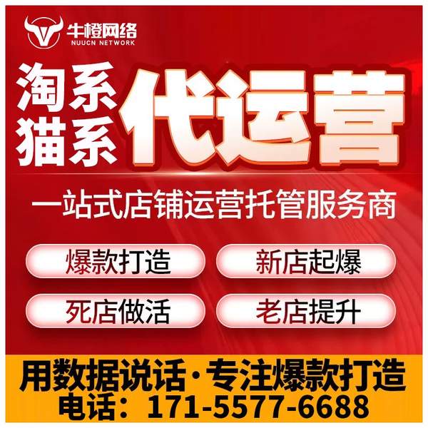 舟山电商代运营
